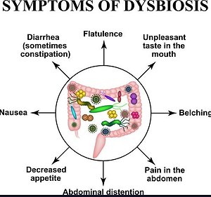 The Microbiome, Dysbiosis & Leaky Gut. Dysbiosis